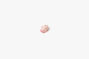 Photo Piggy bank