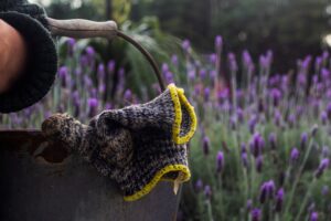 Photo Gardening tools