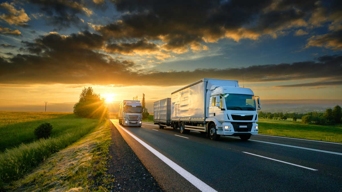 Transibo: Povestea de succes a unei companii românești de transport marfă