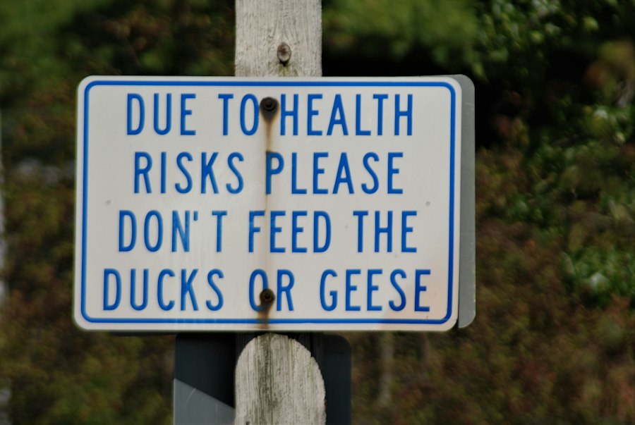 risk tolerance