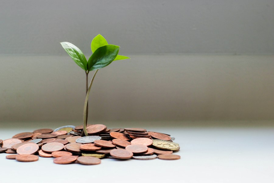 Photo avoiding financial pitfalls
