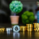 Monede așezate în teancuri crescătoare, cu o plantă mică ce răsare din pământ, simbol al banilor investiți