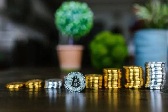 Monede așezate în teancuri crescătoare, cu o plantă mică ce răsare din pământ, simbol al banilor investiți